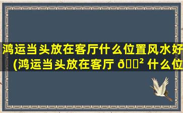 鸿运当头放在客厅什么位置风水好(鸿运当头放在客厅 🌲 什么位置风水好,zui
好放多少盆)